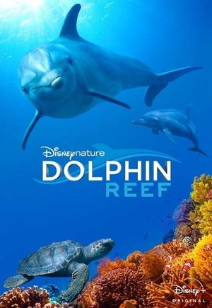 Dolphin Reef